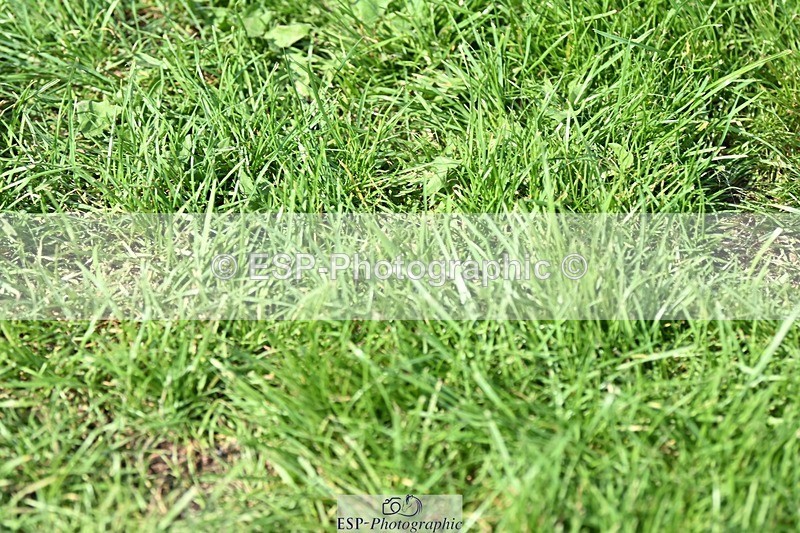 230910-131756-12254 - Cls 26 Snr 1.05m Grand Prix