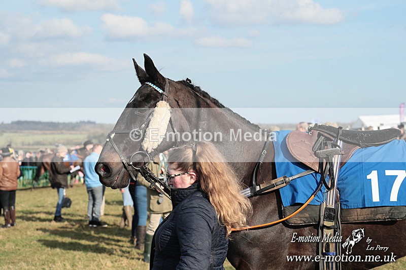 PtP 010325 386 - Beaufort Races Didmarton 01/03/25