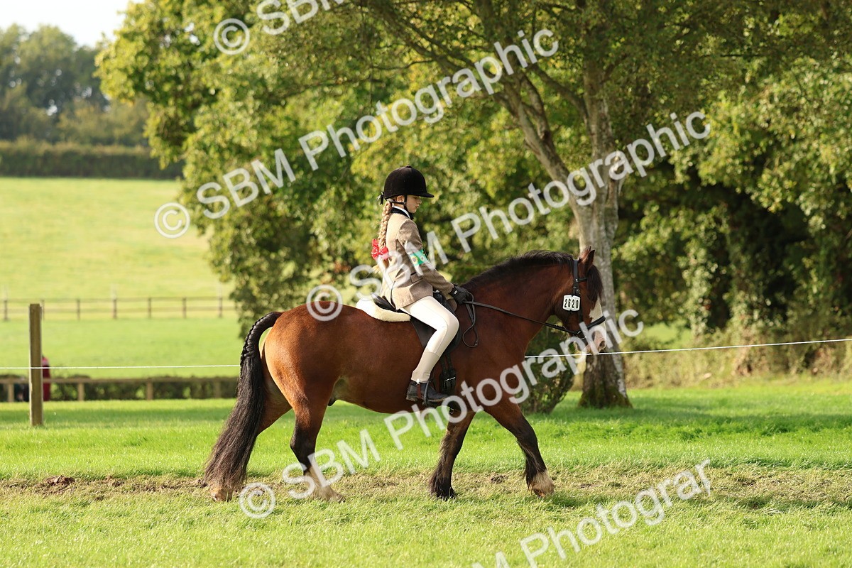 SBM_56532 - S40 - Starters Ridden Showing