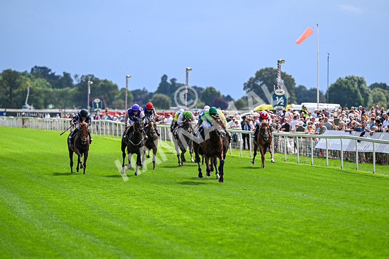 190826-Race 2-Haffner-0750 - Race 2 14.25pm Tattersalls Acomb Stakes