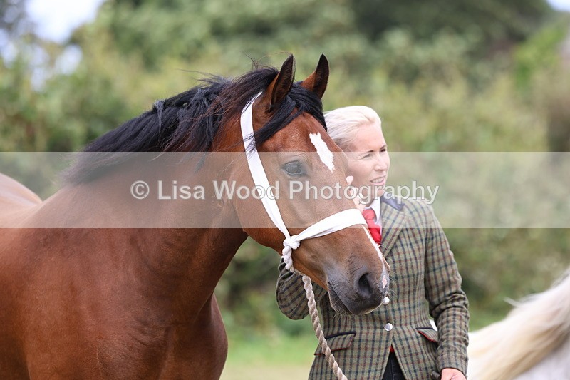 3E7A4476 - Class 15: Three Year Olds