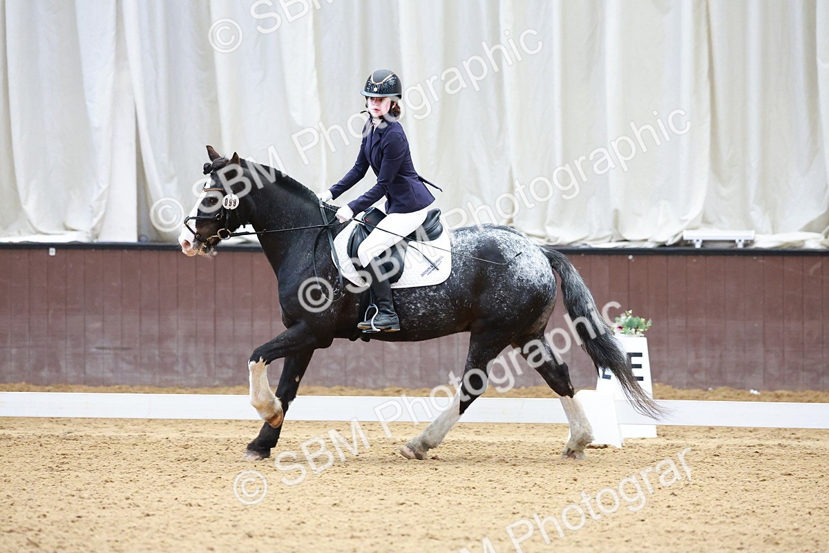 SBM_000221 - Class 3 -  CT Prelim 2/60cm