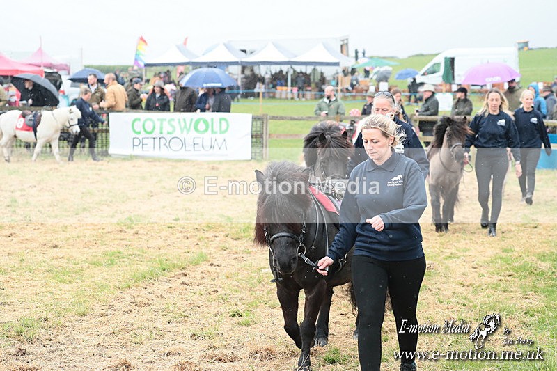 SHETPR 210425 4 - Shetland Ponies Paxford Races 21/04/25
