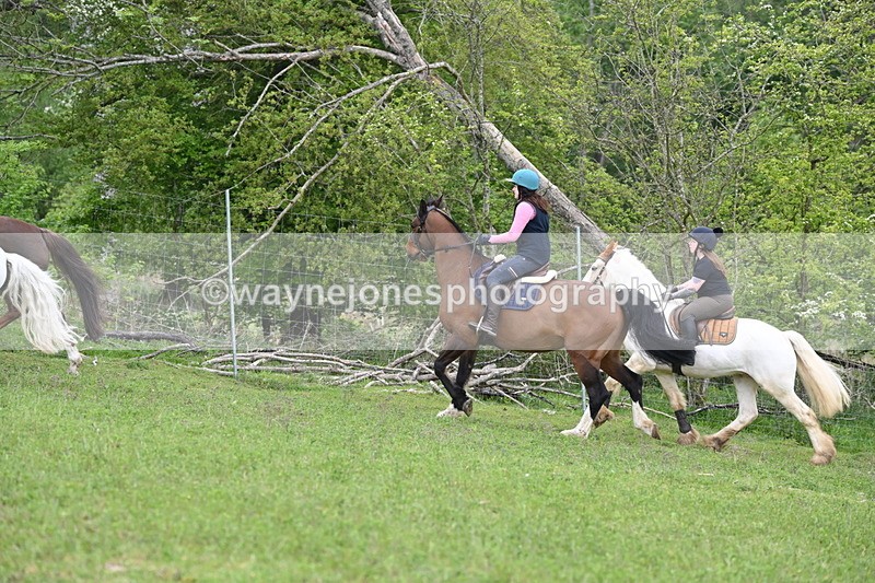 WJ6_3234 - A camera