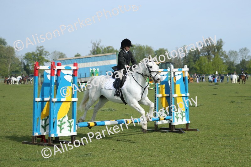 20260426-0178 - Class 13 - Rookie Jumping 50cm