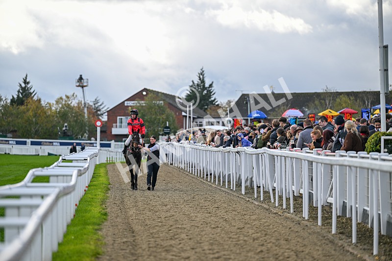 251025-Race 2-Conman John-7868 - Race 2