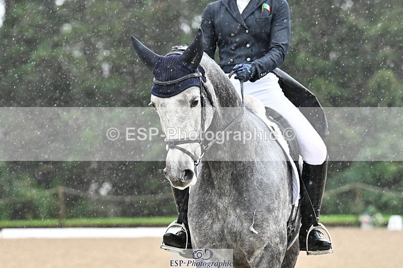 251023A-121401-01873 - C-234-Ava.Dowley