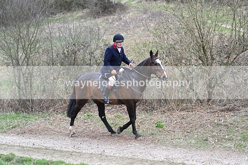 WJ7_7353 - Walk Home