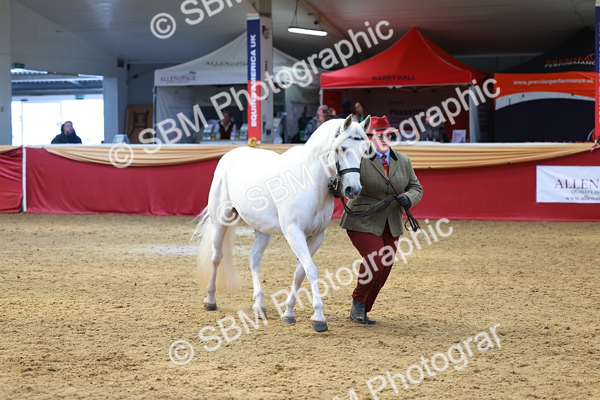 SBM_04135 - Class 9R - IH Pre-Vet
