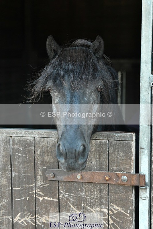 230817-083028-02406 - Stable Shots