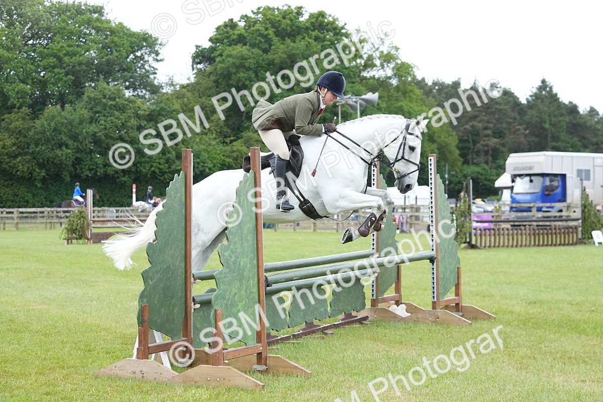 SBM_12594 - Class 97-98 - LIHS BSHA Rising Star Working Show Horse Hunter