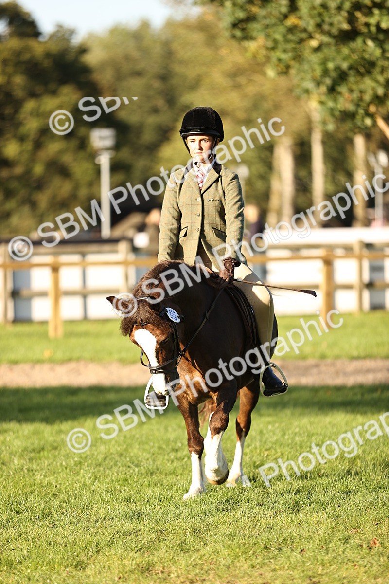 SBM_29600 - S7 - Novice & Newcomers Ridden Pony