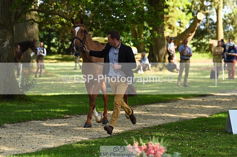 230524-165556-01186 - 157-GODSEND_DU_GIVRE-Henry_Dove-WEDTrotUp+DR