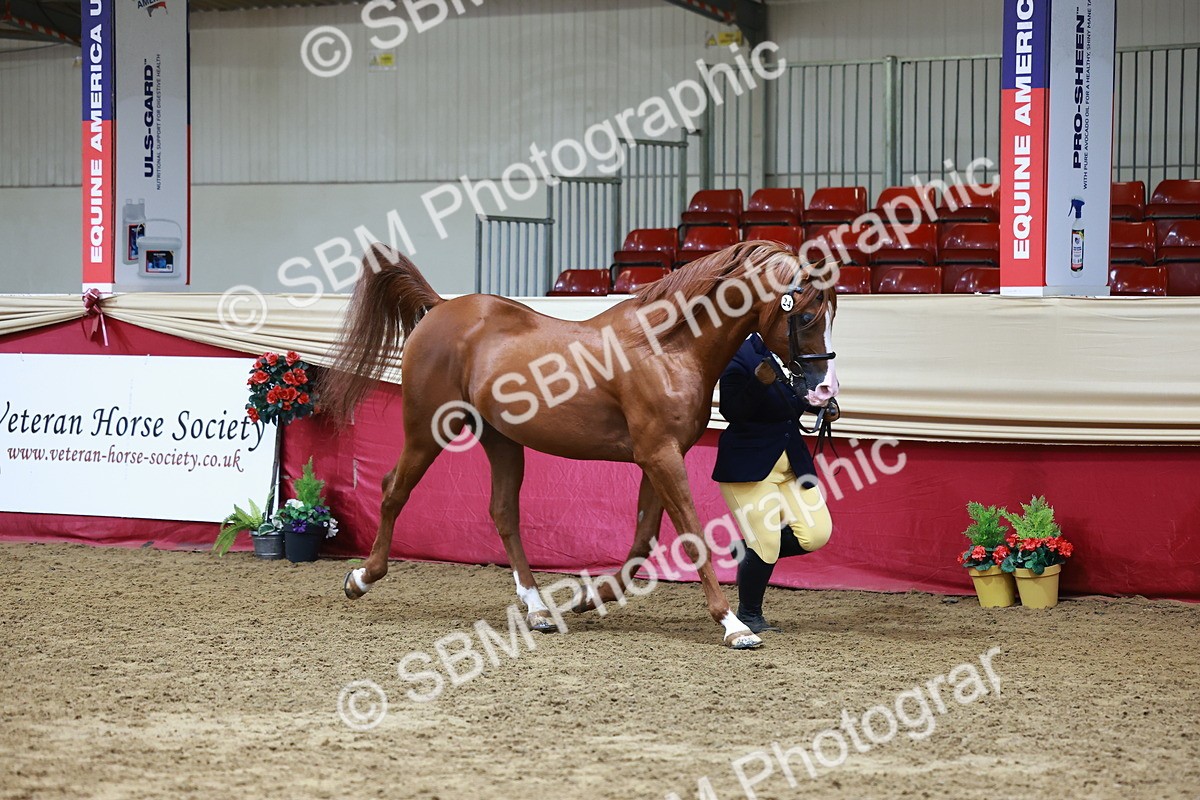 SBM_22288 - Class 902 - Supreme Final - IH Diamond