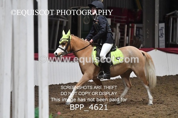 BPP_4621 - CLASS 5 60CM