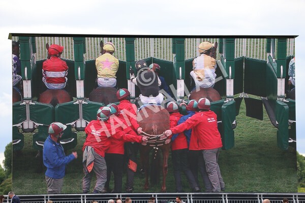 yr22052022r5-19 - Race 5: 5:35pm Sky Bet Sunday Series Sprint