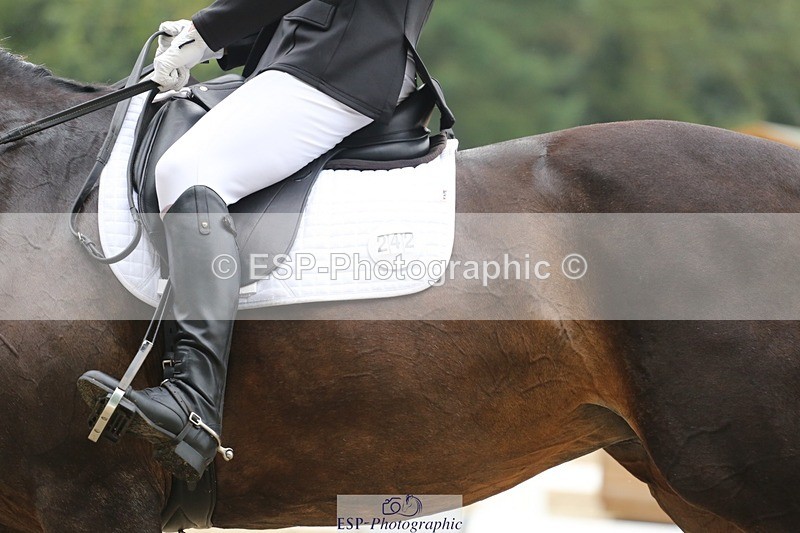 240720-145302-06250 - 242-Jayne_Townsend-Hollyday