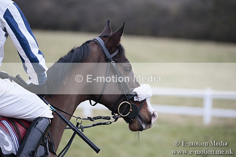 PtP 180218 702 - Combined Services Point-to-Point Larkhill 18/02/18