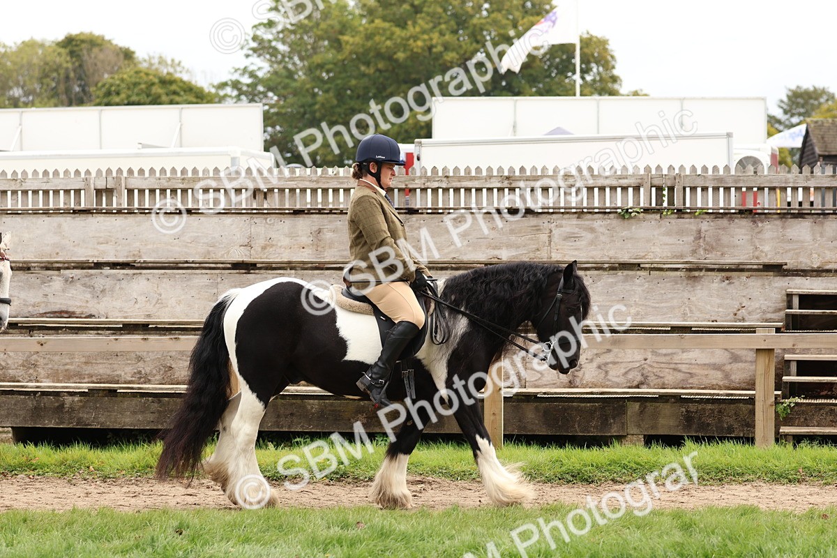 SBM_64395 - S58 - Coloured Pony Ridden