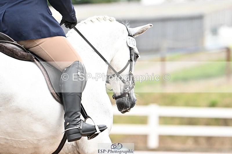 240817A-104433-07202 - 312-Carolyn.Day-Greycroft.Ronan