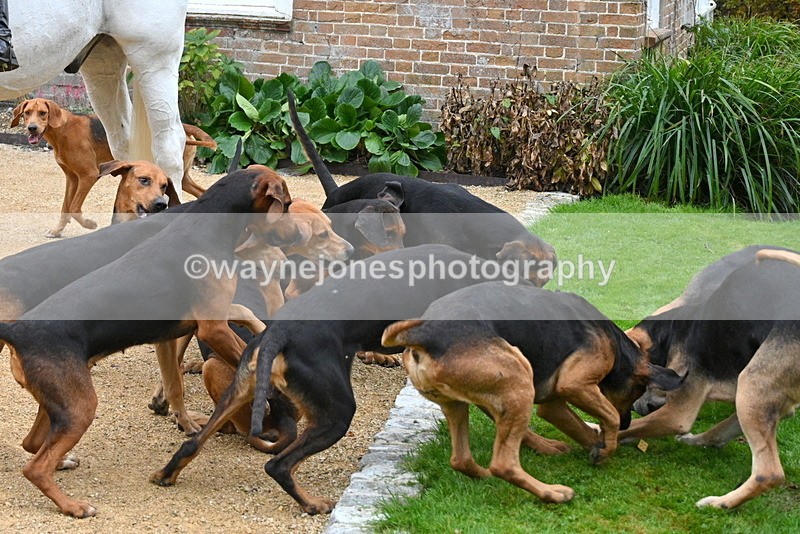 WJ7_6133 - Berks & Bucks - Children's Meet - The Old Farmhouse – Steventon.