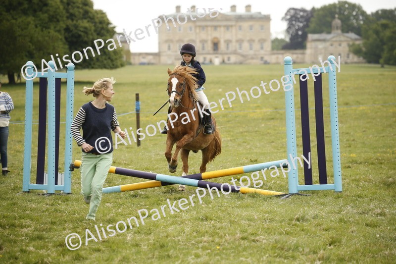 20250517-0844 - Class 2 - 30cm Off Lead Rein