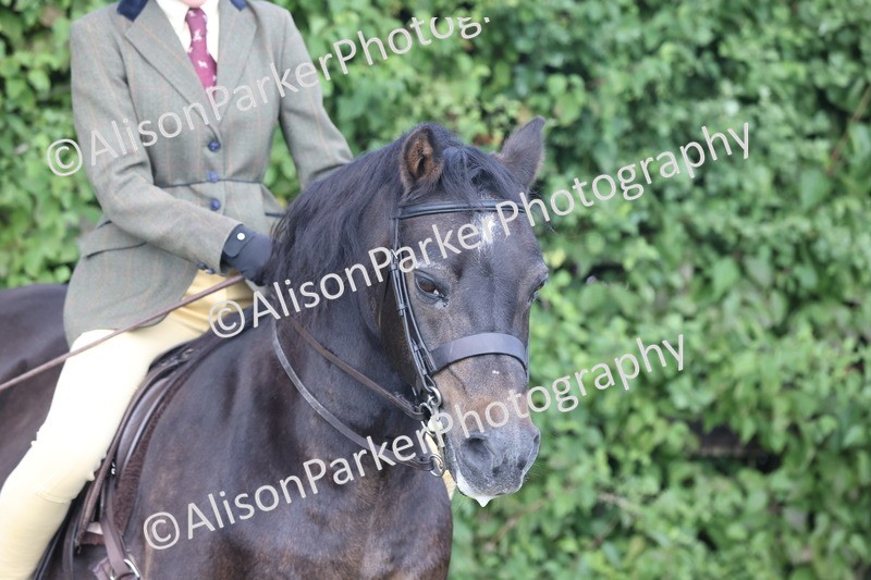 20250831-1089 - Class 15 - Ridden Veteran