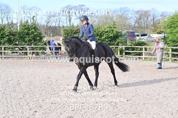 BPP_6789 - RING 1  (RIDDEN HORSES / IN HAND / VETERAN ETC)
