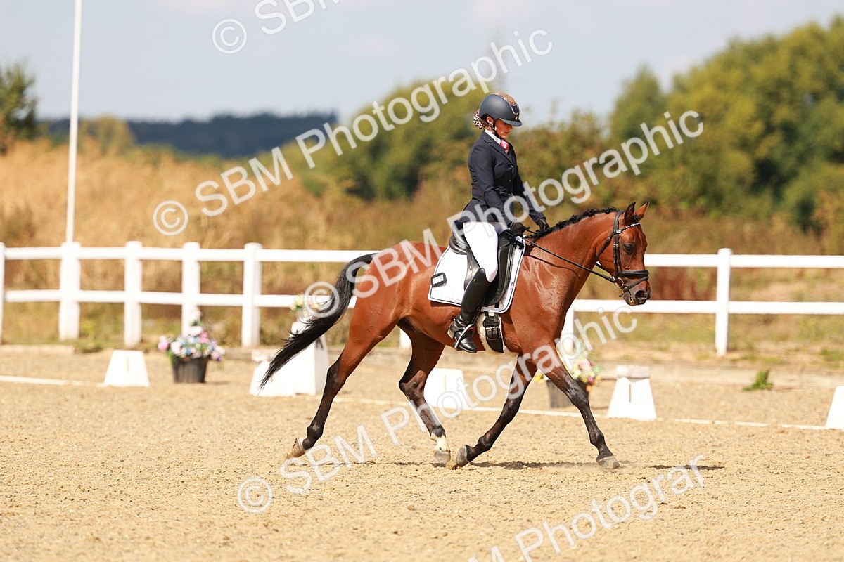SBM_018493 - Class 9 - N5 Bronze 11.57.13.07