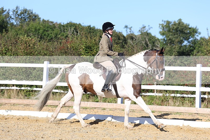 3E7A5297 - Class 8: Small Ridden Hunter