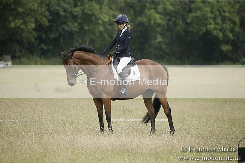 B230619-0406 - Bourne Valley Riding Club Summer Show 23/06/19