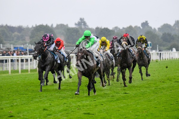 140723-Race 7-Gibside-0720 - Race 7 5.30pm William Hill Extra Place Races Daily Apprentice Handicap