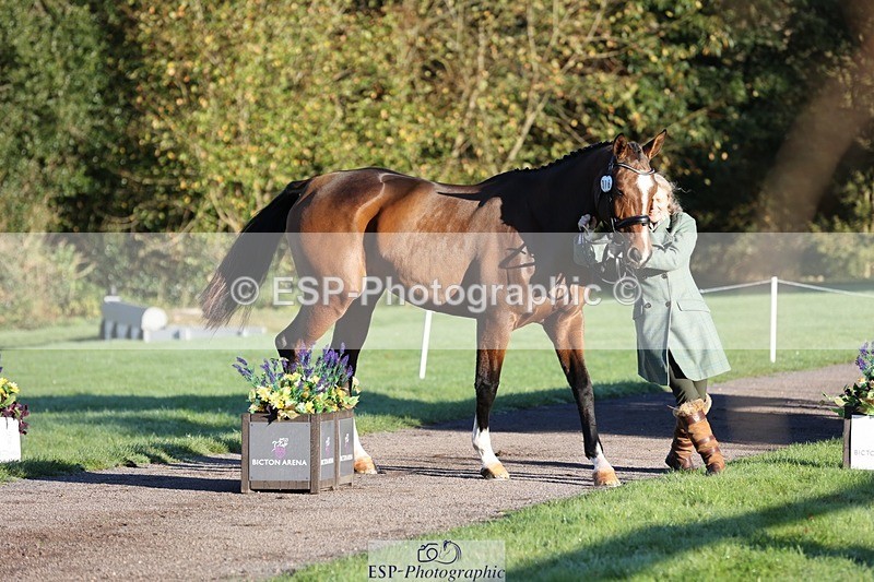 241027-083726-14699 - 378-Fern.Hordern-SHES.ALL.THAT