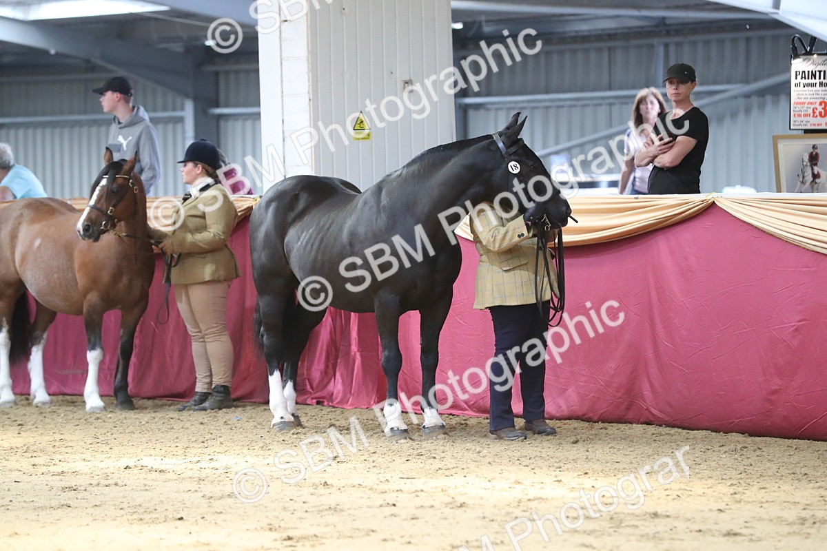 SBM_06223 - Class 9R Regional- IH Pre Vet