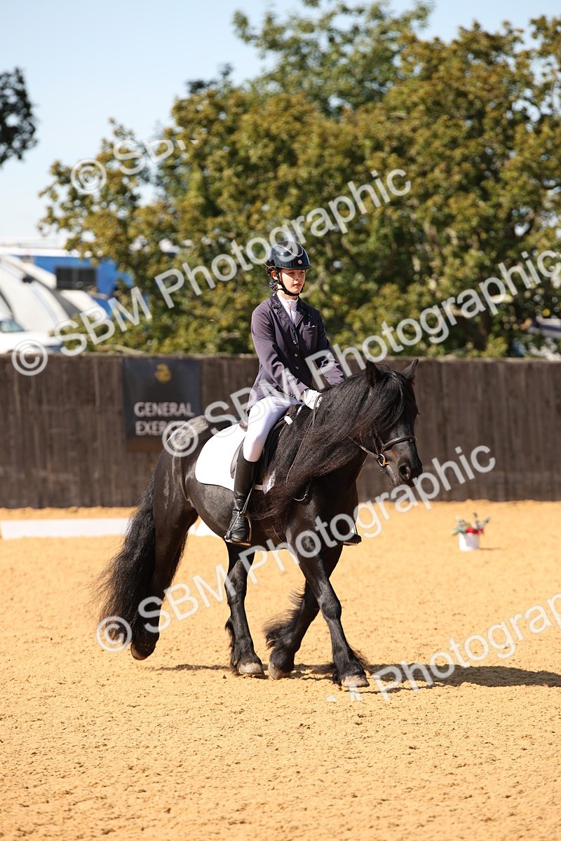 SBM_24162 - D5 - Small Tour Championship - Intro C