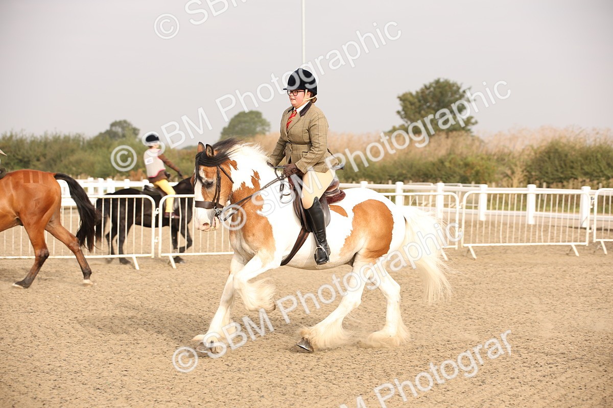 SBM_10225 - Class 402 Riding Club Horse