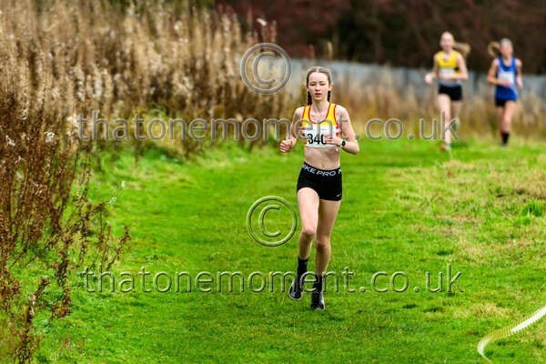 WestRLY25-923449 - Young Female Set One