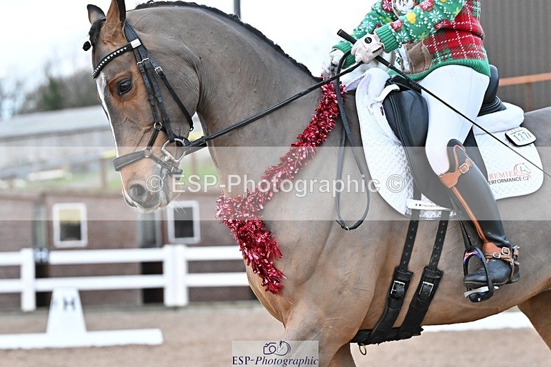 241214-154314-03348 - 138-Tyler.Bradshaw-Igor.VIII