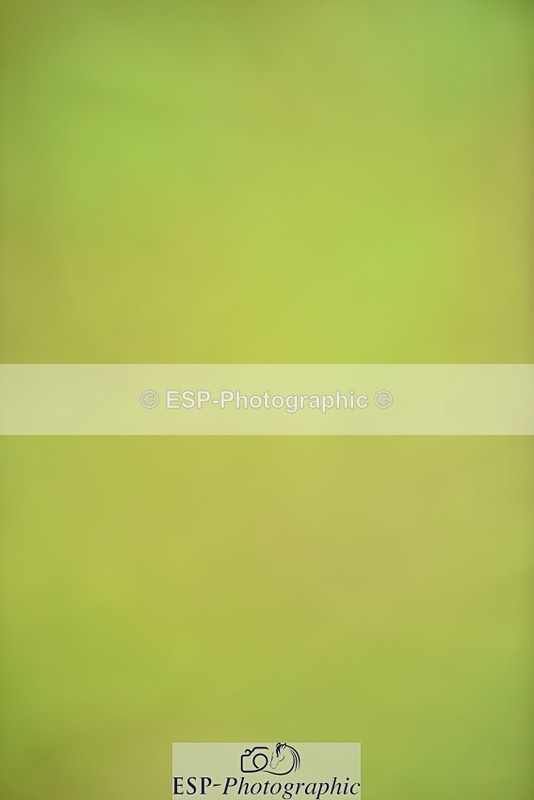 240523B-103344-01796 - 4 Year Old