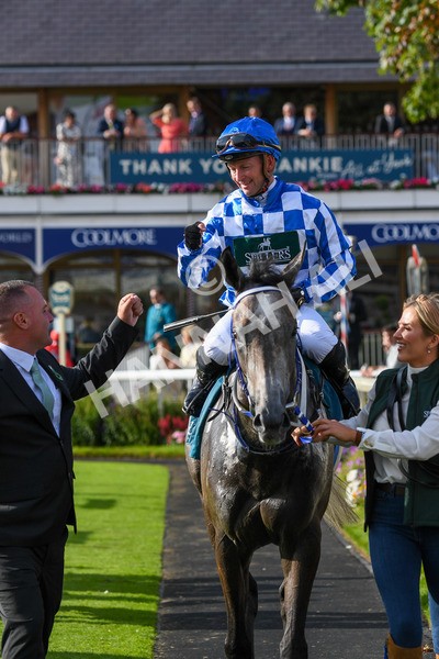 250823-Race 7-Silver Sword-1272 - Race 7 5.15pm Sky Bet Mile Handicap