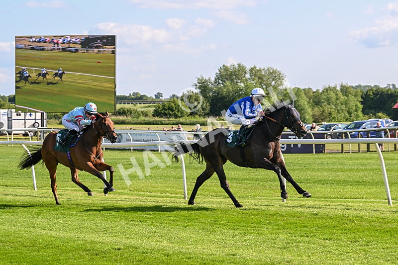 100625-Race 1-Desert Jungle-6377 - Race 1