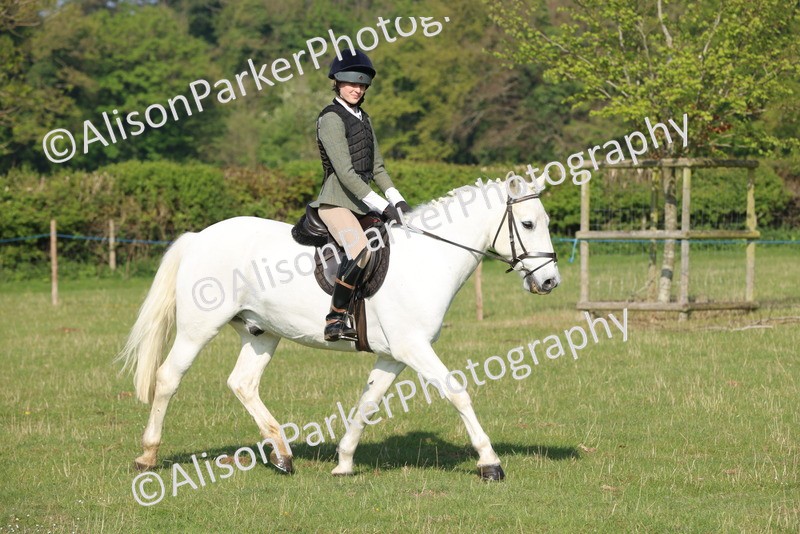 20250427-0503 - Class 17 - Novice Showing