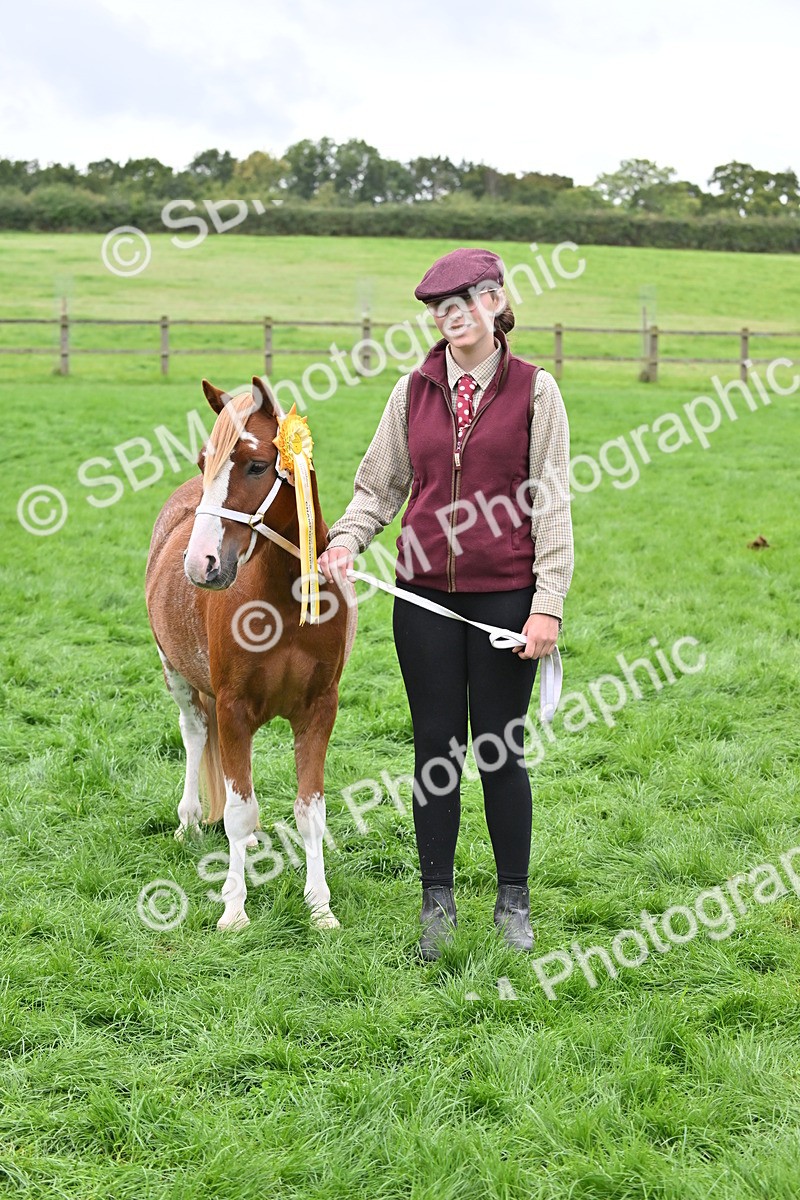 SBM_61065 - S48 - Mountain & Moorland In Hand Small Breeds