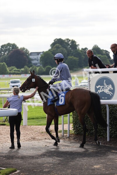 yr23072021r1-12 - Race 1 6.00pm John Wright Electrical Silk Series Lady Riders Handicap