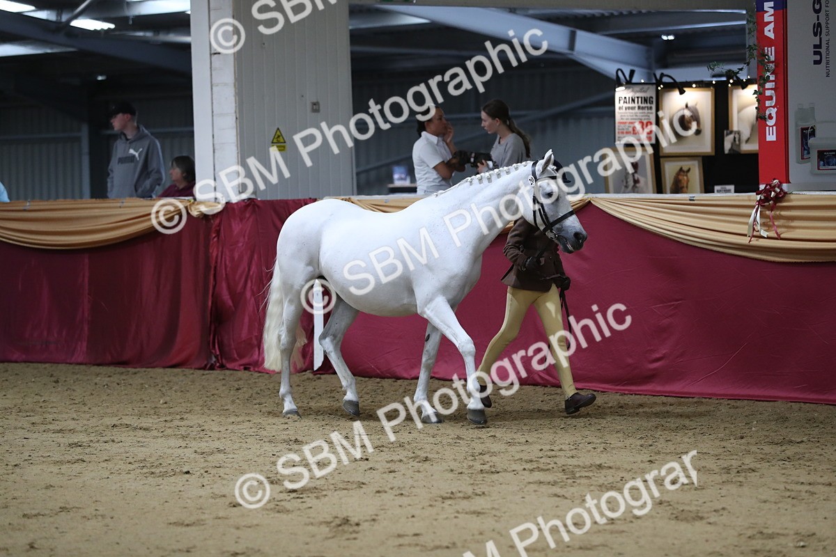 SBM_05085 - Class 8R- Regional -IH Veteran