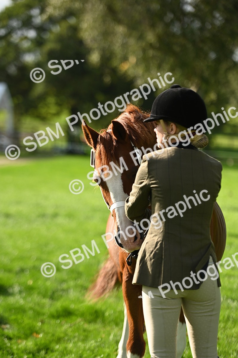 SBM_15942 - S1 - TSR in Hand Horse & Pony Showing