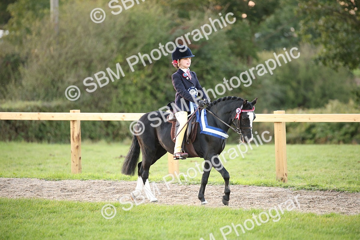 SBM_57086 - Super Supreme Championship