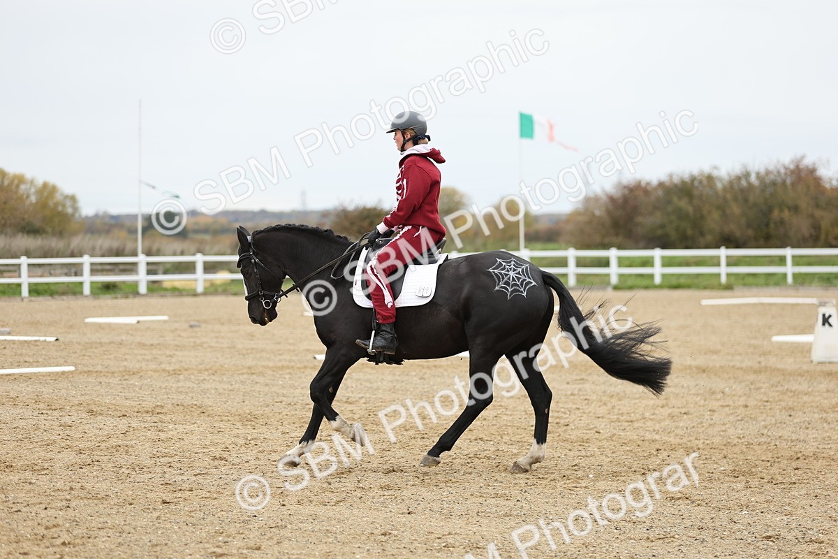 SBM_003717 - Class 9-12 - Novice 2 Elementary 3