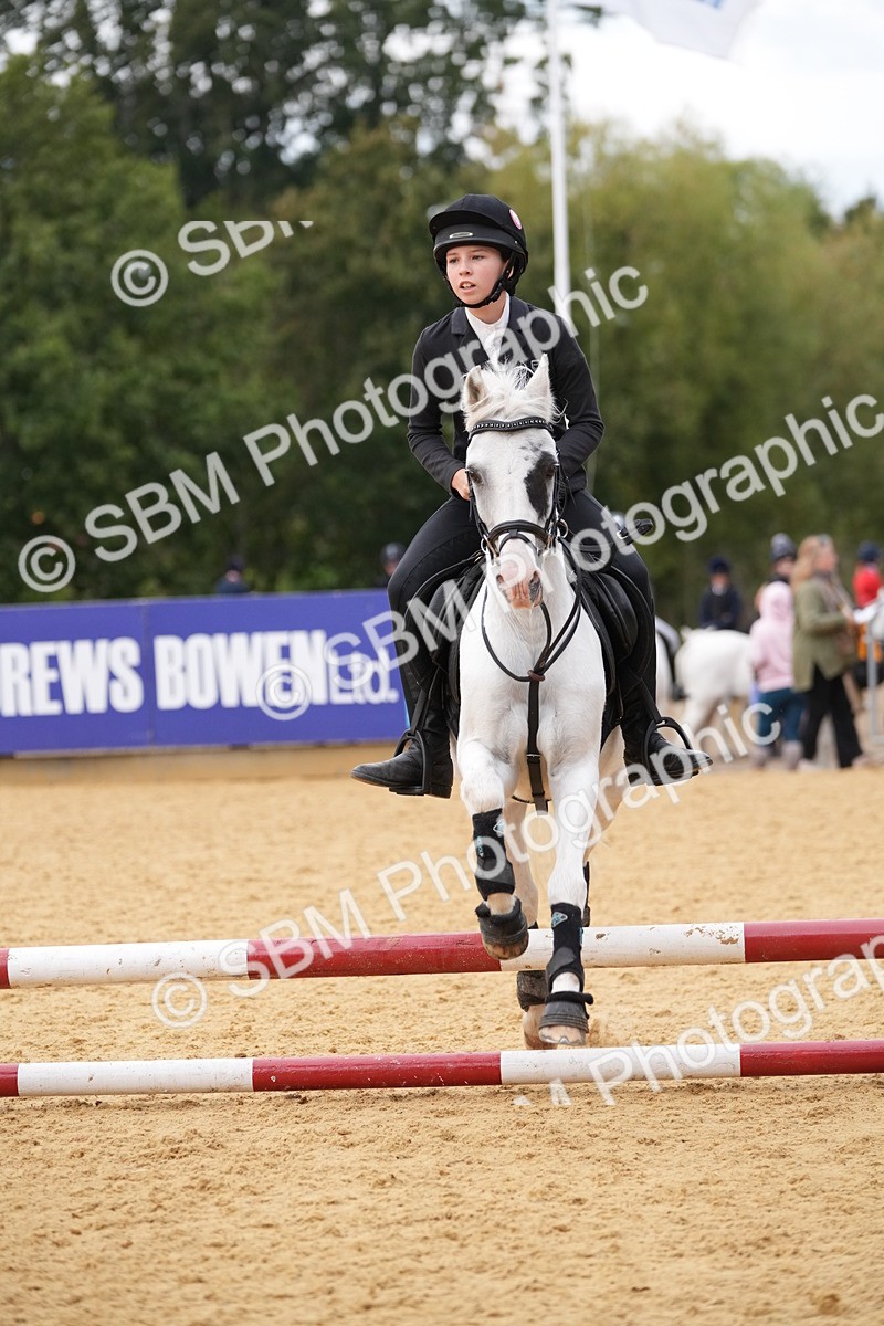 SBM_74798 - J4 - Mini Tour Junior Pony 45cm Championship