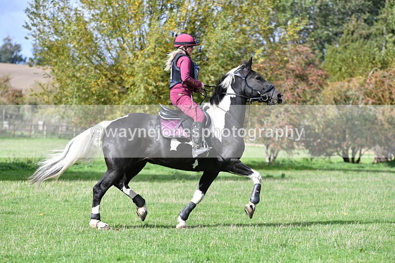 WJ5_8942 - Time 12:34 to 12:57